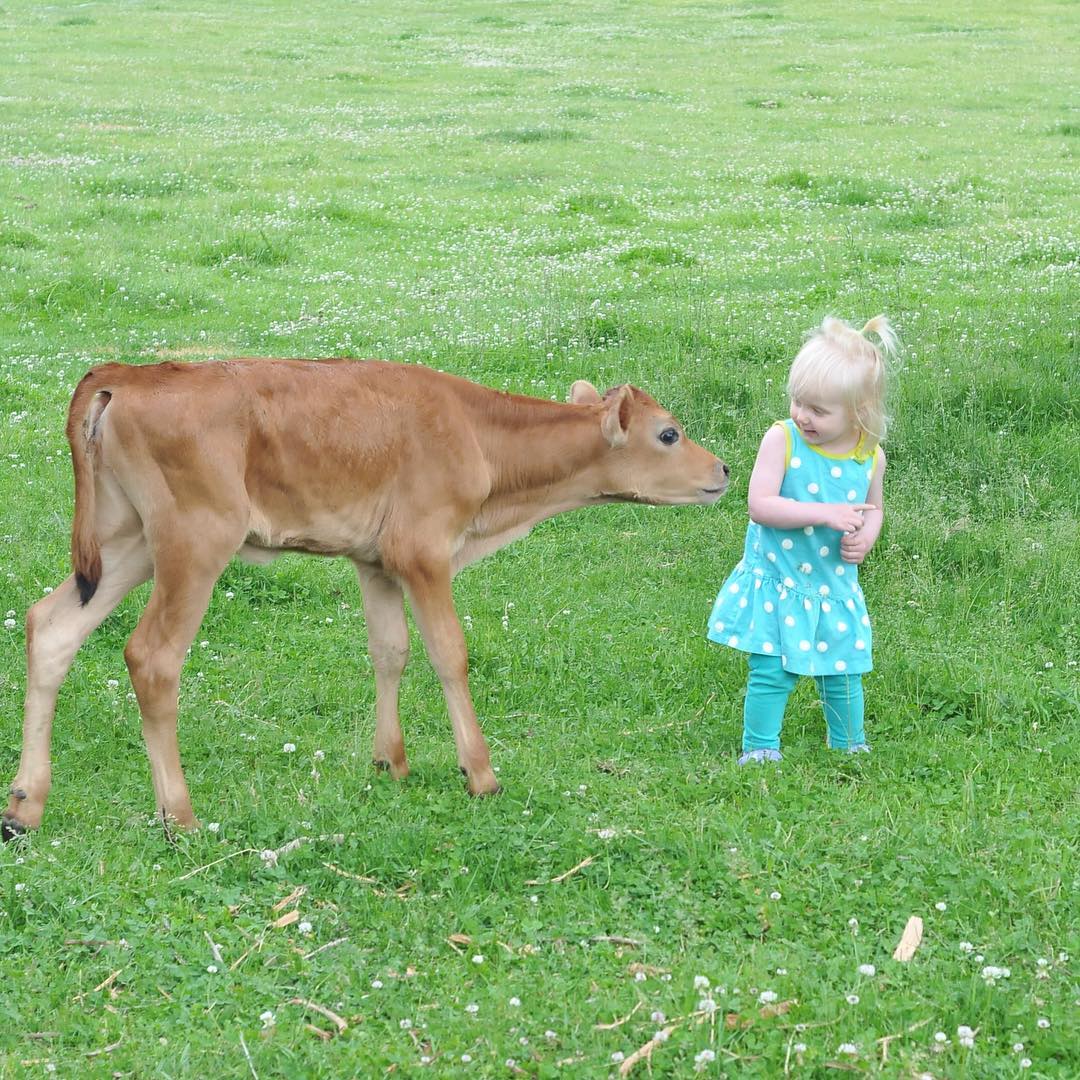 Farm Tour